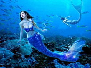 http://wp.4000500521.com//upimg/seot/t20161103180128589.png
