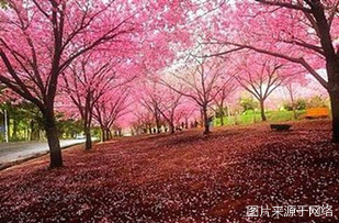 http://wp.4000500521.com//upimg/seot/t20161219142324159.jpg