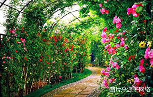 http://wp.4000500521.com//upimg/seot/t20161219154823264.jpg