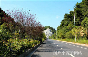 http://wp.4000500521.com//upimg/seot/t20170725135906391.jpg