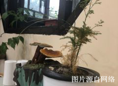 http://wp.4000500521.com//upimg/seot/t20190701173553213.jpg