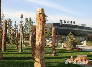 http://wp.4000500521.com//upimg/seot/t20190702164554230.jpg